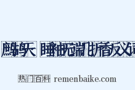鹧鸪天·睡袖无端几折香反义词是什么意思的图片